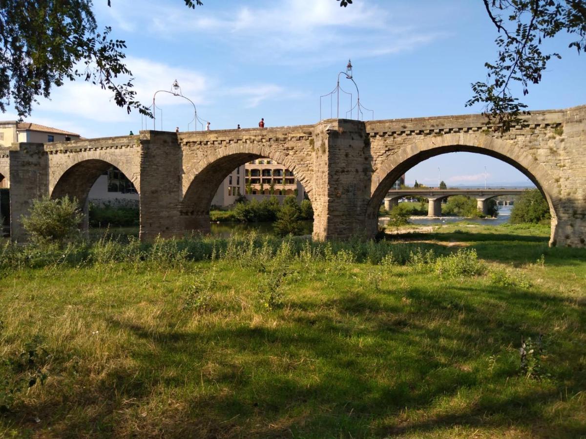 Appartamento Carcassonne T3 résidentiel rez de jardin piscine, wifi, tennis, fitness Esterno foto